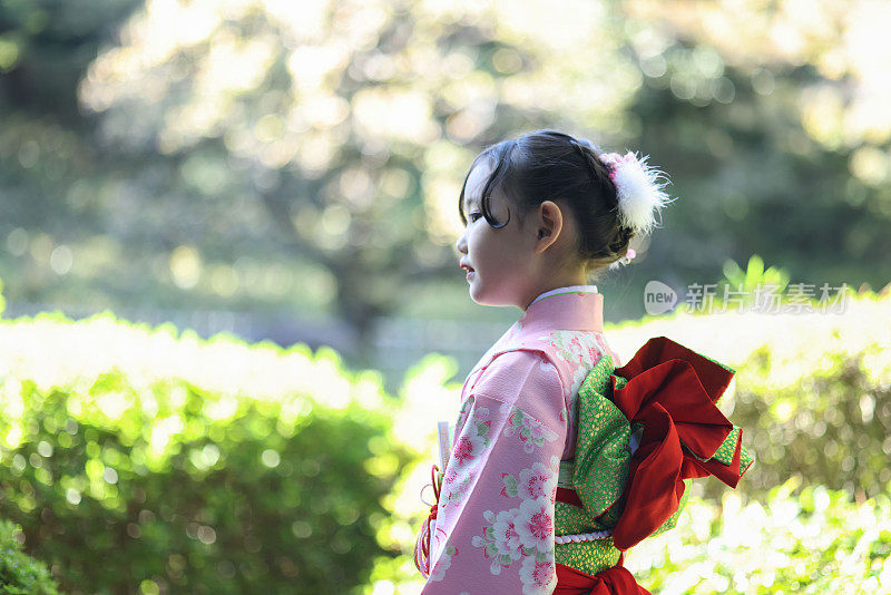 漂亮的日本女孩穿着和服为Shichi go san庆祝